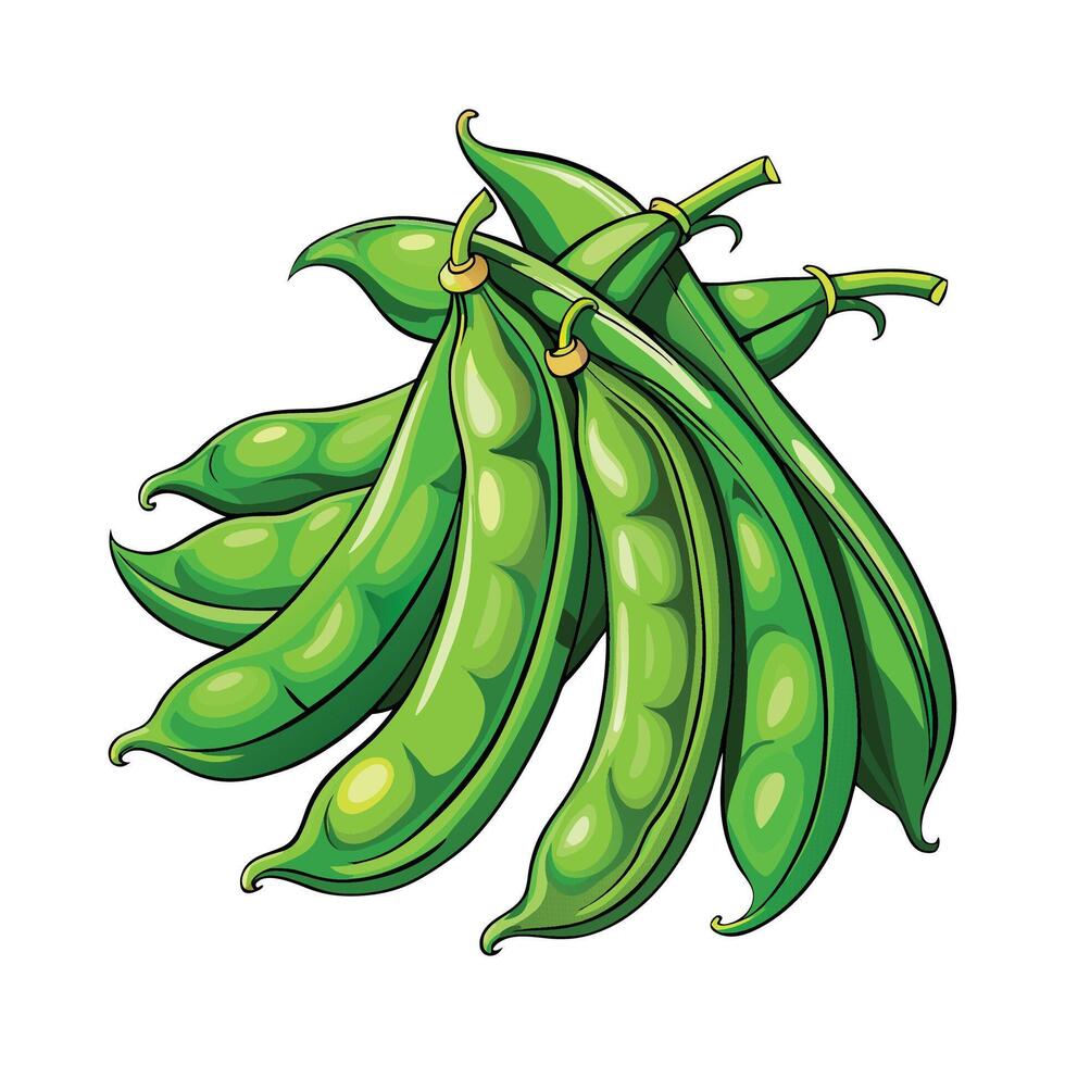 Detailed Green Beans Illustration on White Background vector