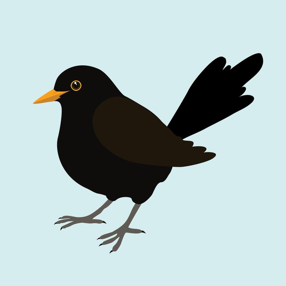 An illustration of a blackbird. It's a male bird and the background is pale blue. The bird is cut out. vector