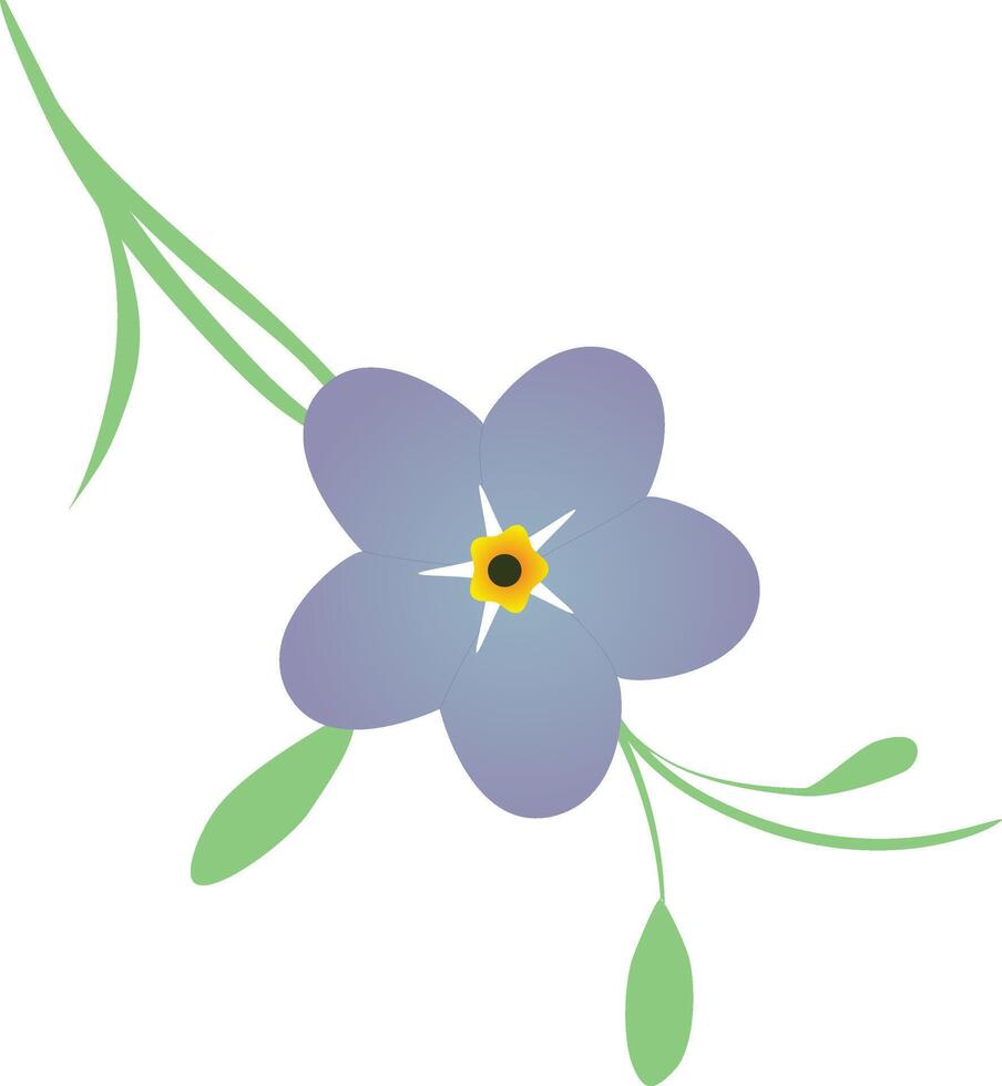 Forget me not flower vector