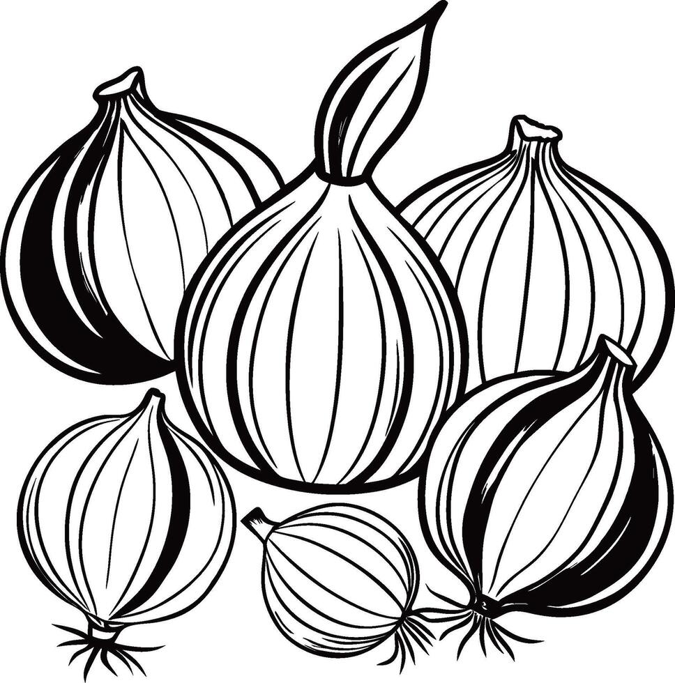 Onion Outline Illustration on White Background vector