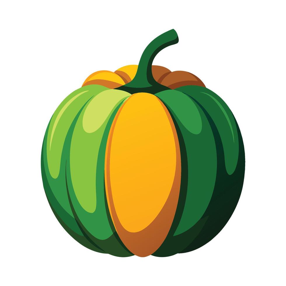 Detailed Acorn Squash Graphic Illustration on White Background vector