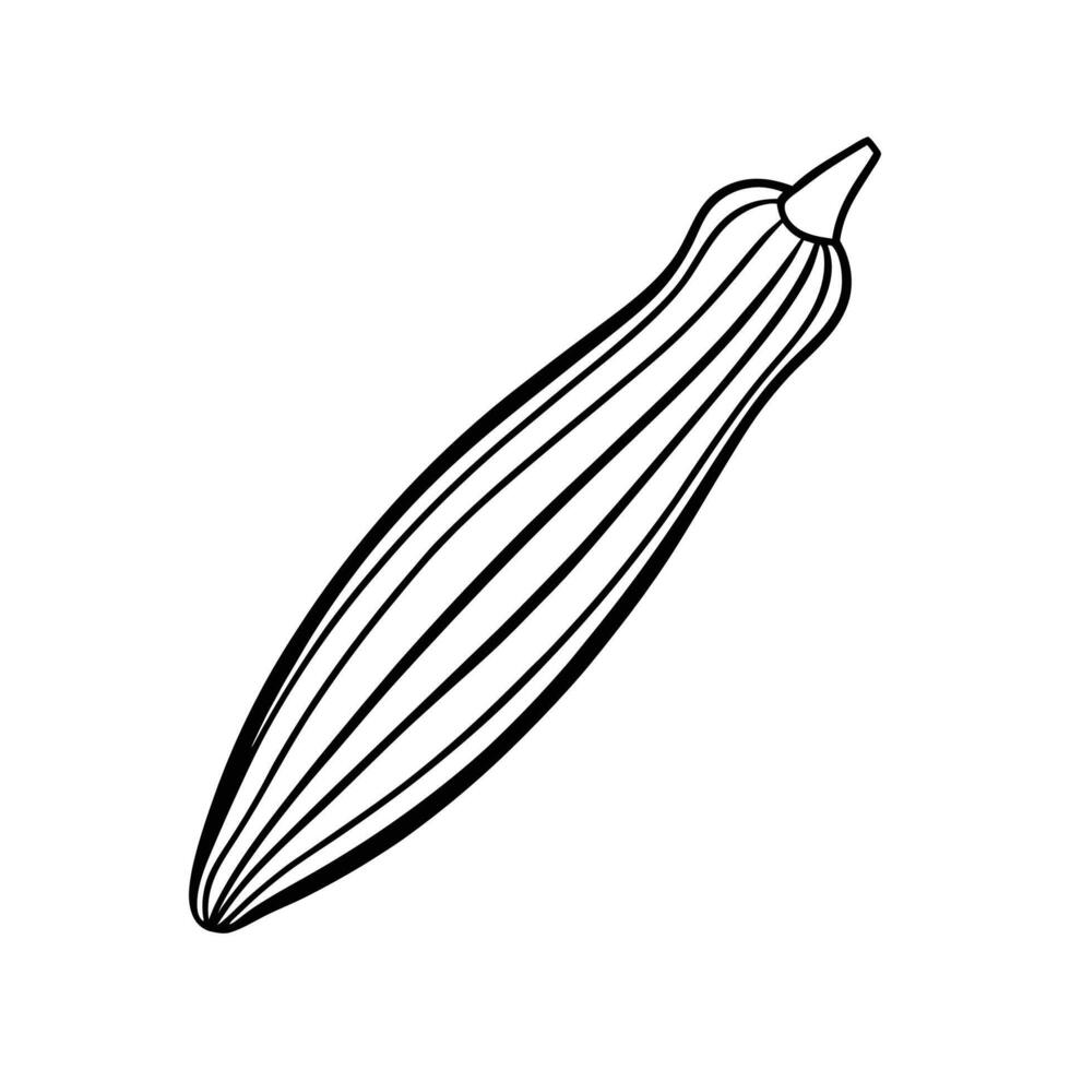 Okra Outline Illustration on White Background vector