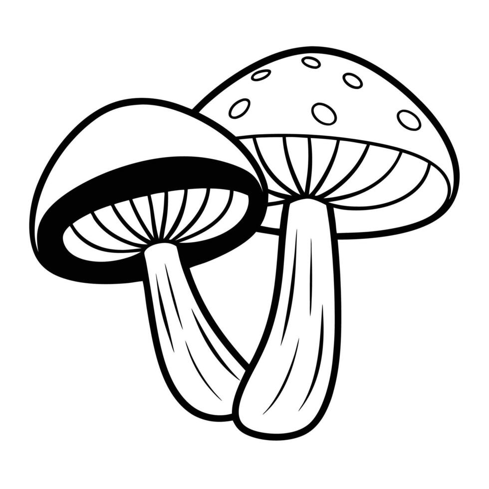 Shiitake Mushrooms Outline Illustration on White Background vector