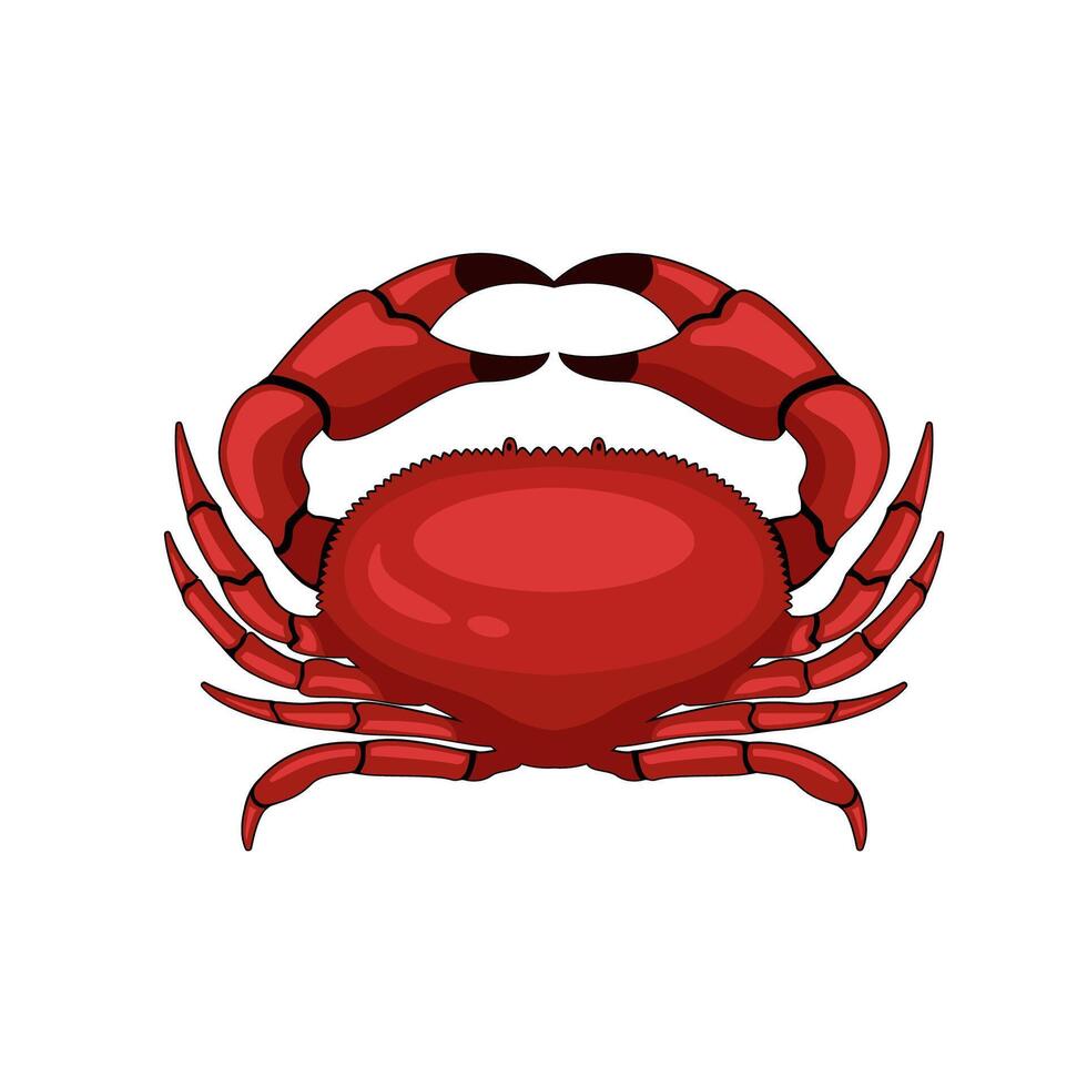 Red crab design cartoon illustration vector