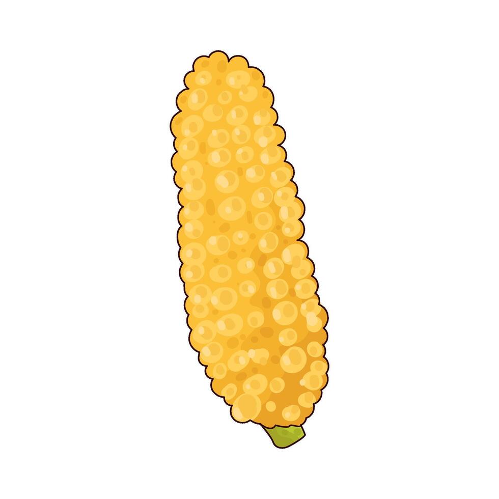 Illustration of corn vector