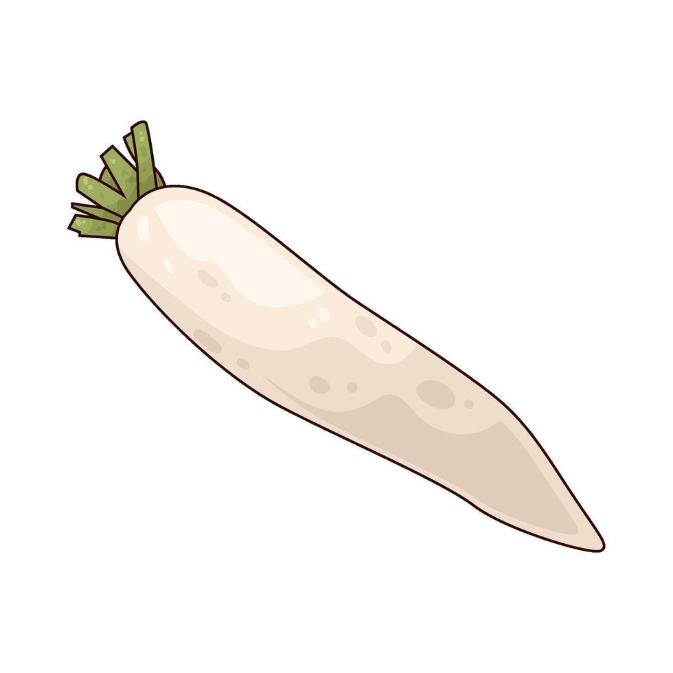 Illustration of white radish vector