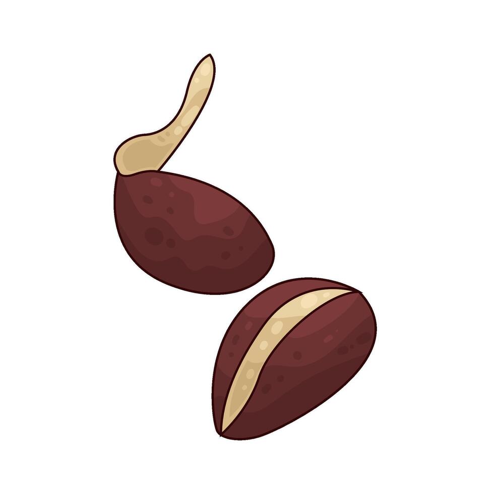 Illustration of seed vector