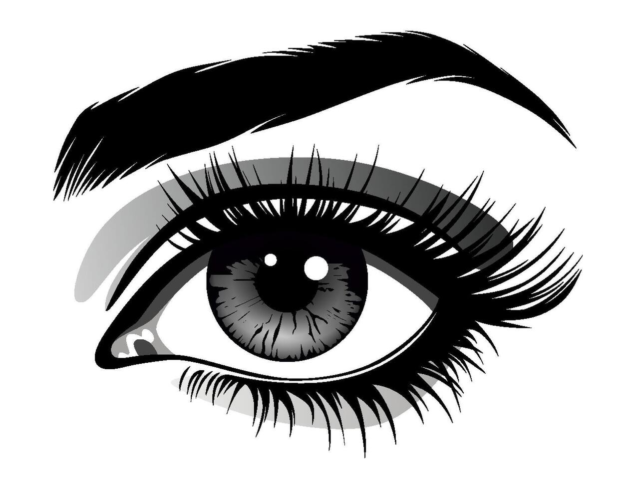 Beautiful female eye with big lashes and eyebrow. Eyeliner glamour makeup. icon vector