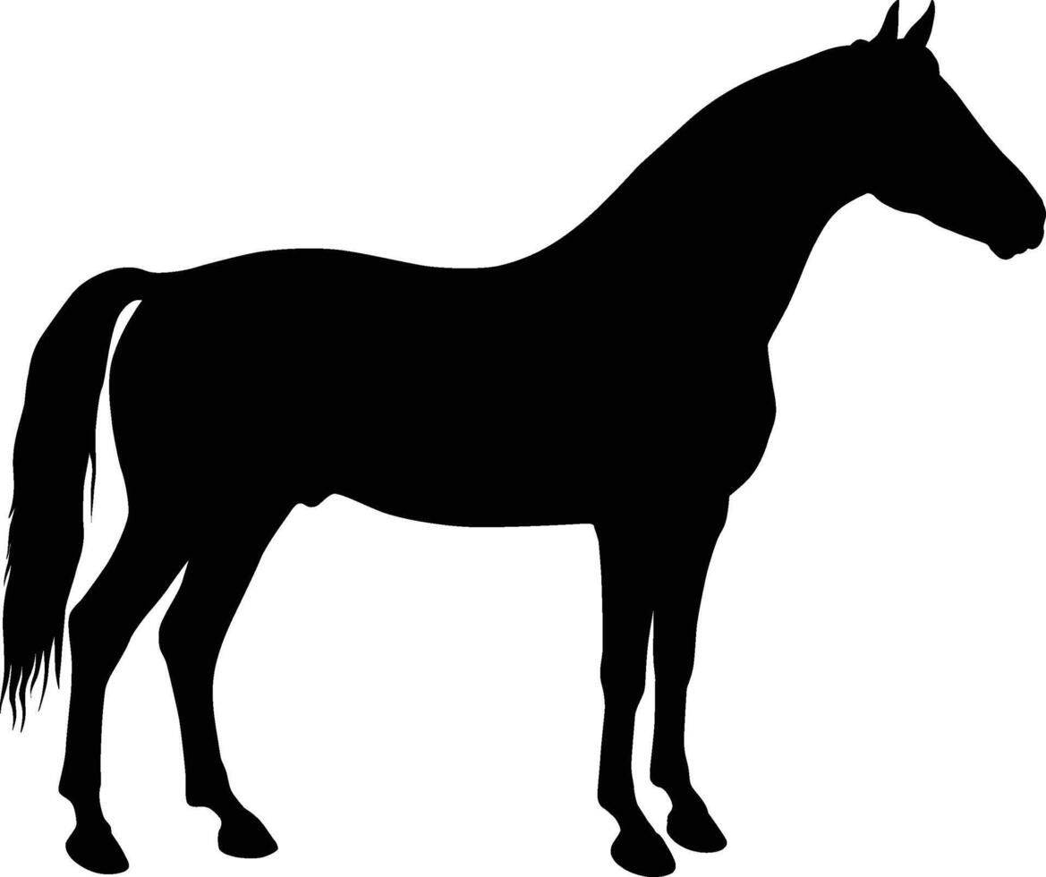 Standing Horse Silhouette illustration on white Background. vector