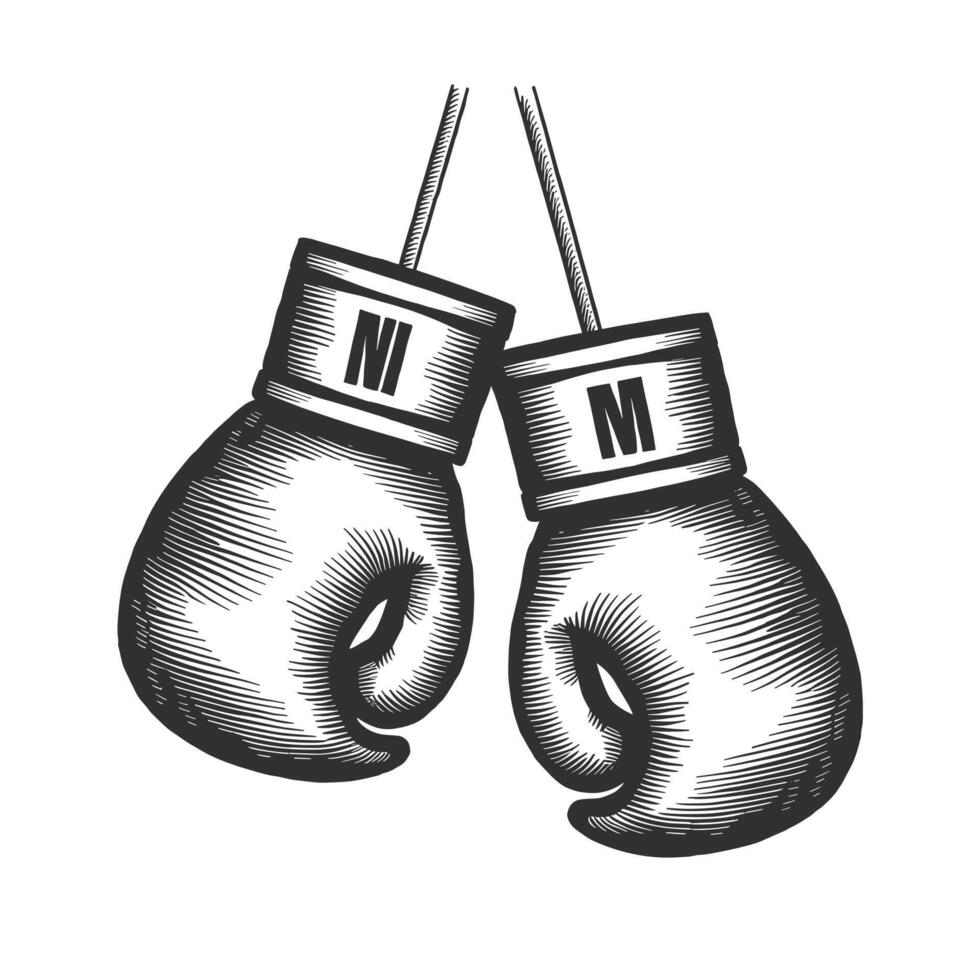 Two boxing gloves hanging on a rope vector