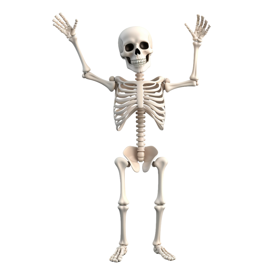 a skeleton is standing with his hands up png