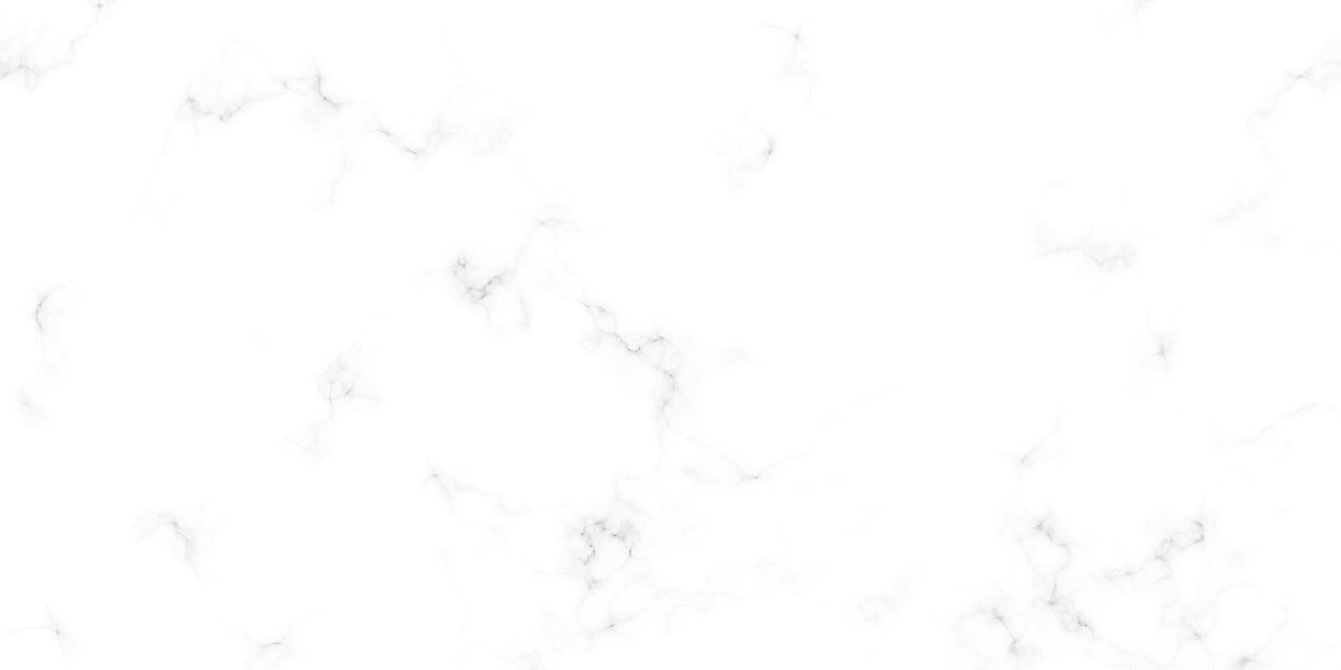 white marble texture background vector