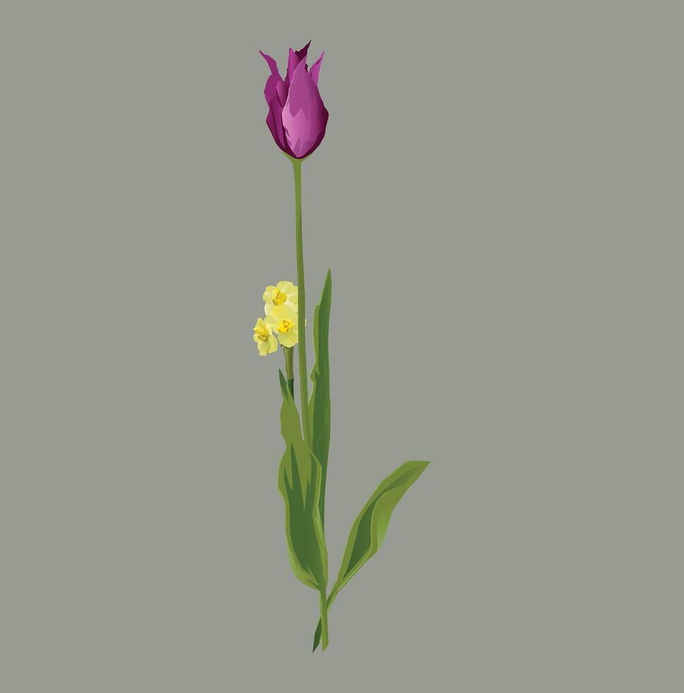 A single purple tulip with yellow daffodils blooming alongside it, standing tall against a neutral gray background. vector