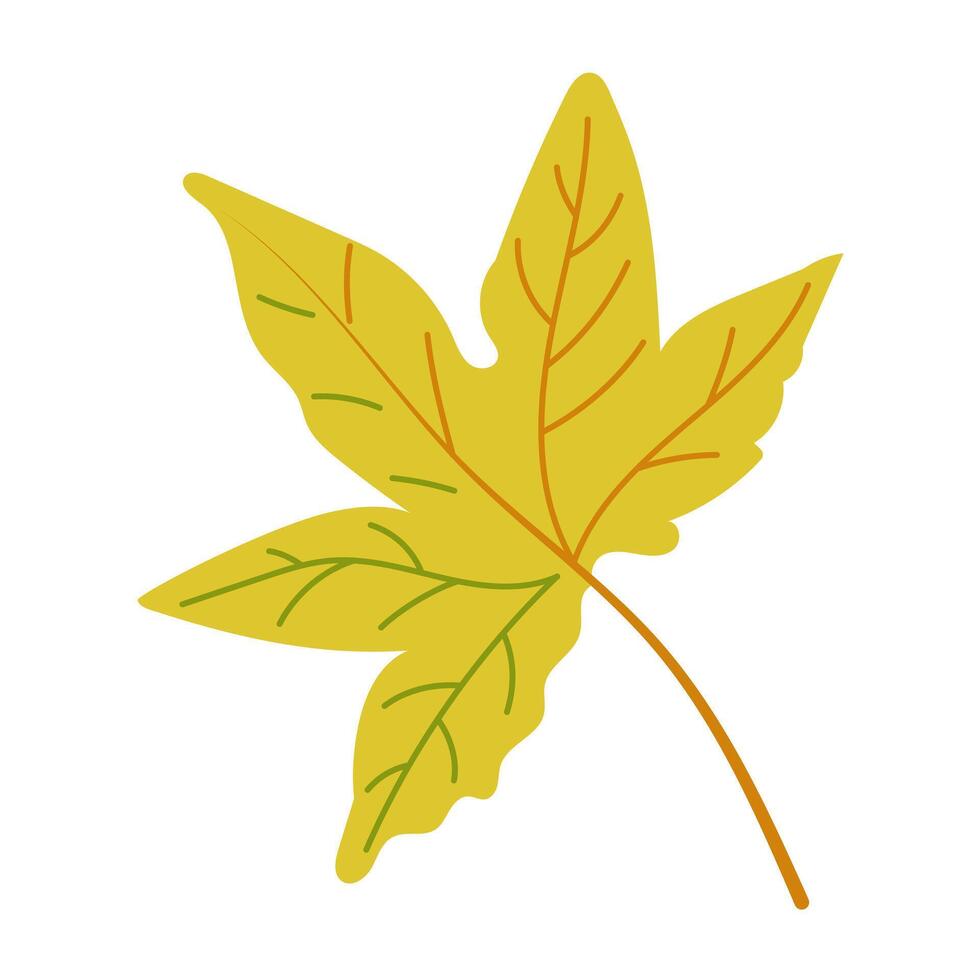 Autumn colored leaf of maple tree in hand drawn flat style. illustration isolated on white background for t shirt graphics, printouts. Simple botanical clipart vector