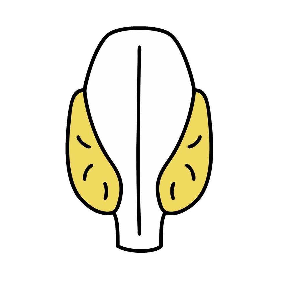a cartoon of a human head with a yellow face vector