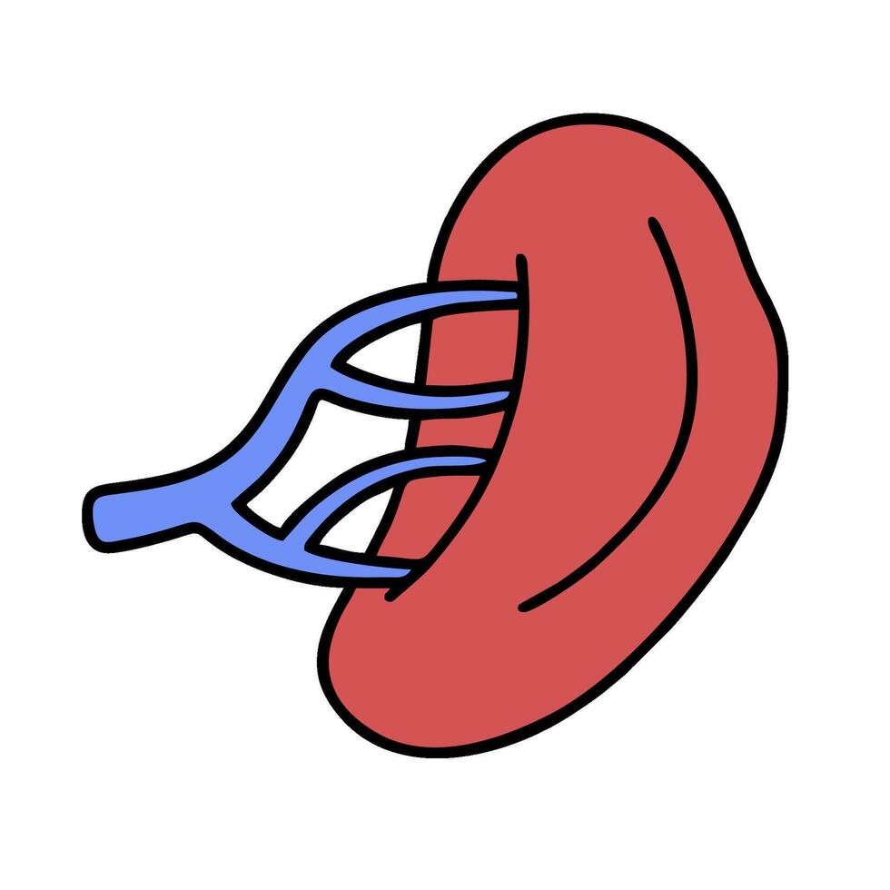 a red and blue kidney with a cat's tail vector