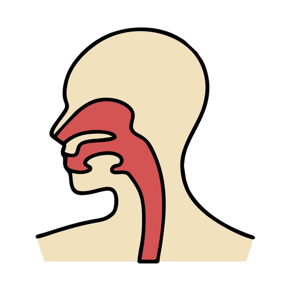 the human throat and tongue are shown in this illustration vector