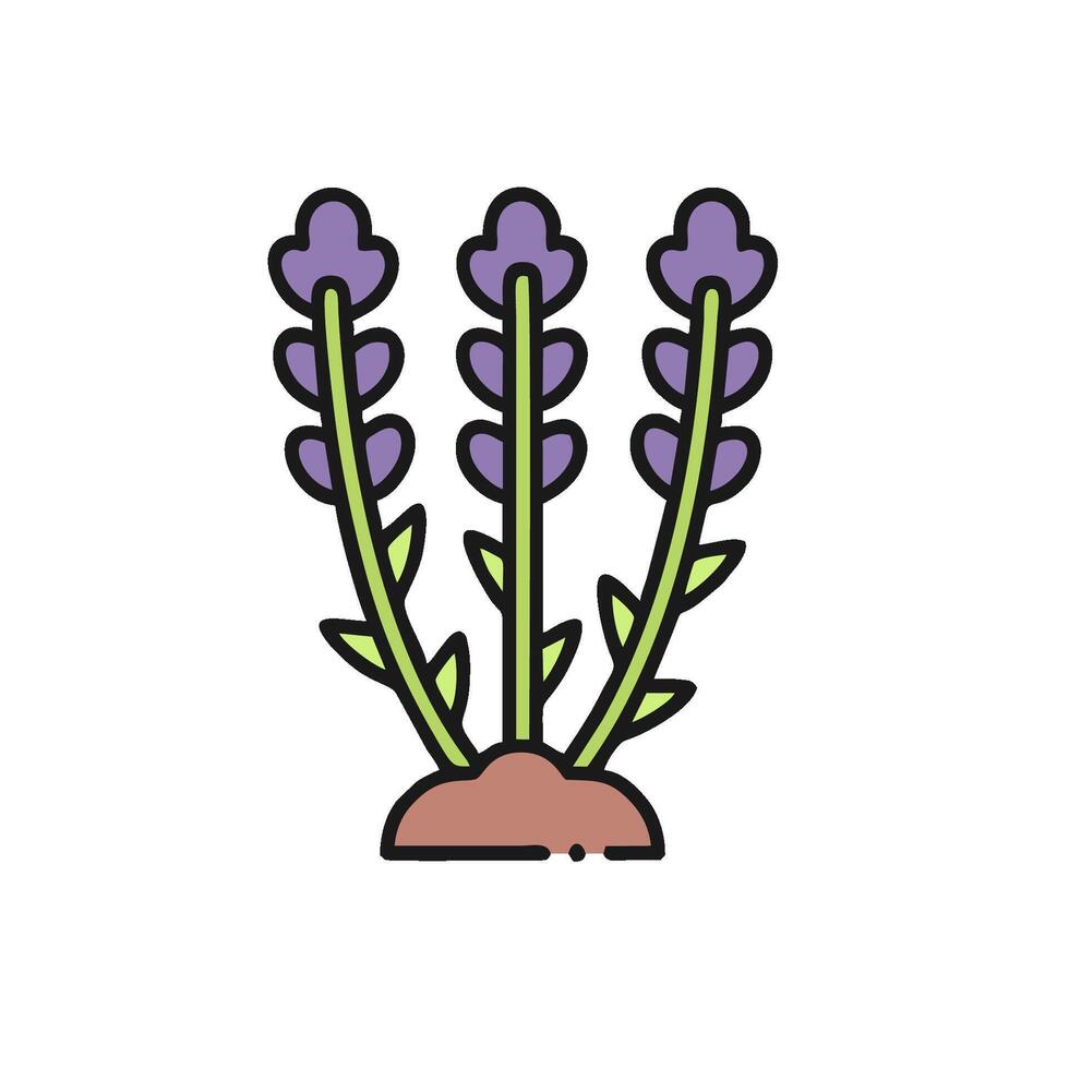 A lavender plant with purple flowers on it vector