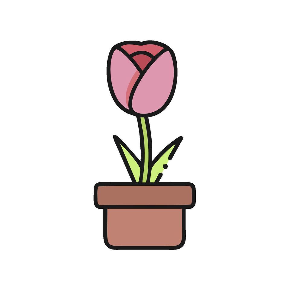 A pink tulip in a pot on a white background vector