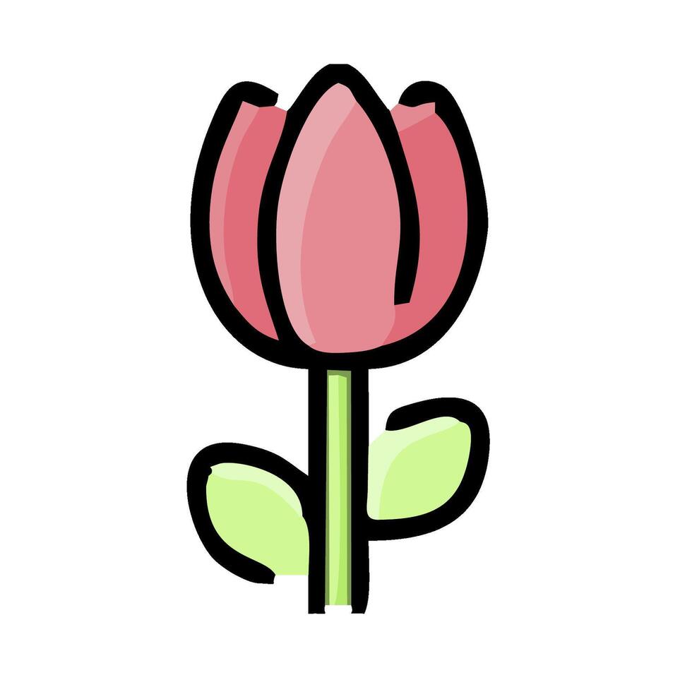 A pink tulip flower on a white background vector