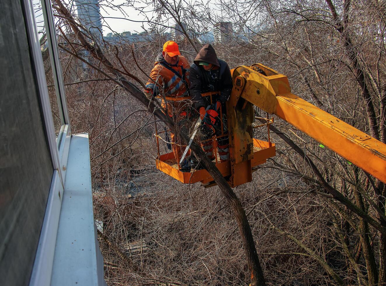 Dnepr, Ukraine - 03.20.2024 Municipal service workers stand with a chainsaw in a crane basket and trim dangerous trees photo
