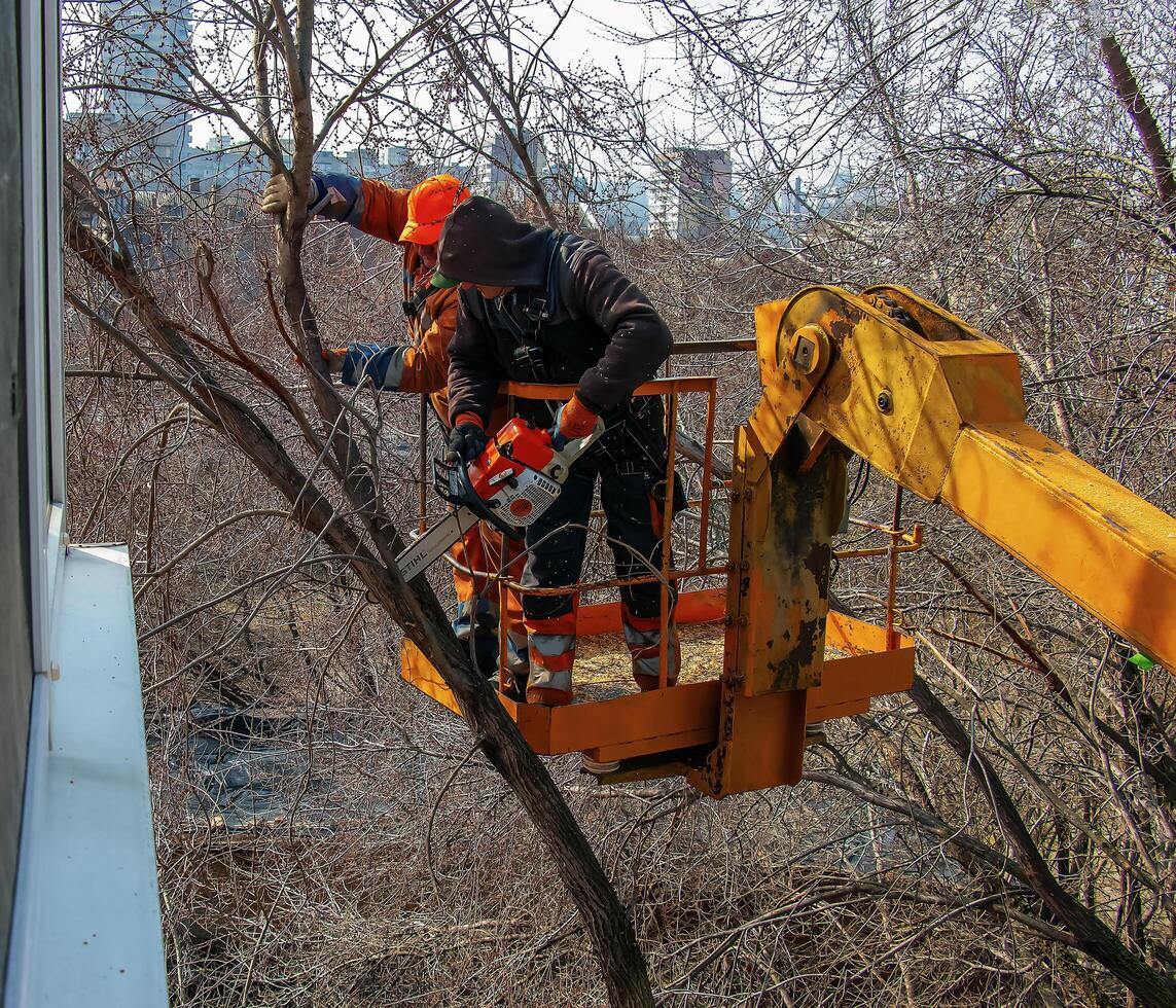 Dnepr, Ukraine - 03.20.2024 Municipal service workers stand with a chainsaw in a crane basket and trim dangerous trees photo