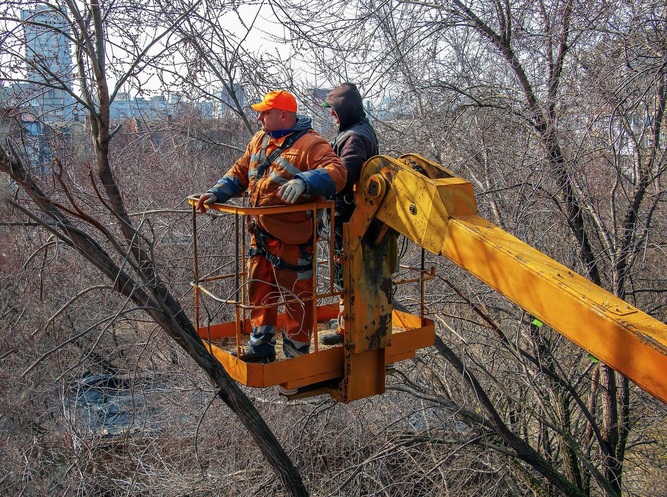 Dnepr, Ukraine - 03.20.2024 Municipal service workers stand with a chainsaw in a crane basket and trim dangerous trees photo