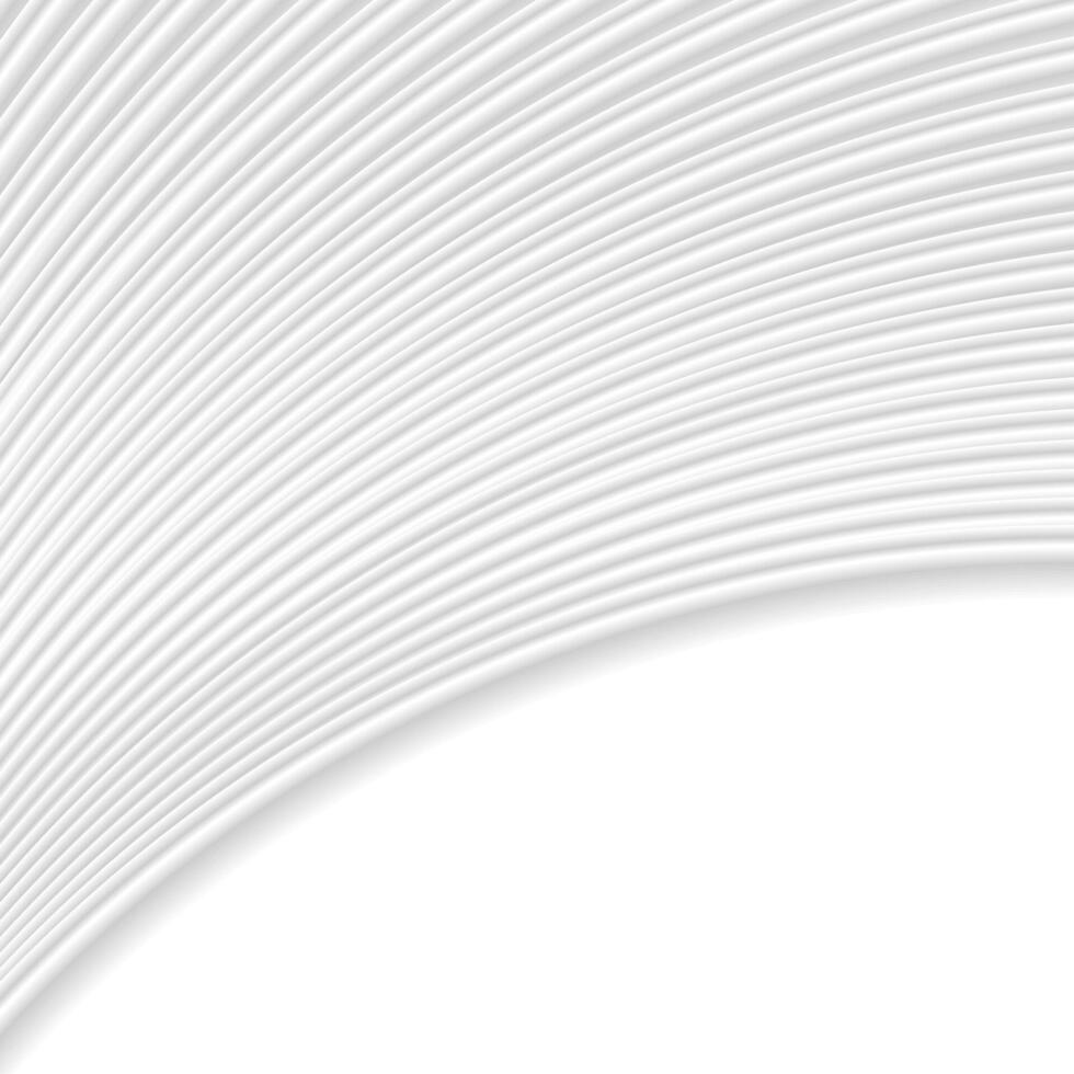 Abstract grey white curved lines and waves vector