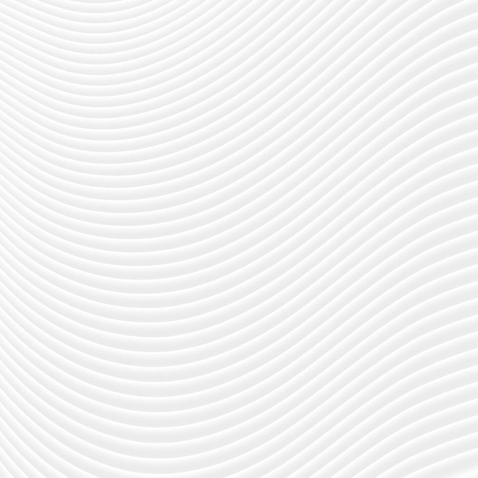 Abstract grey white curved lines and waves vector