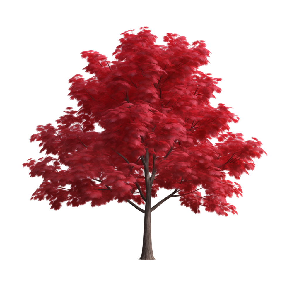 Vibrant Red Maple Tree With Dense Foliage On Transparent Background png