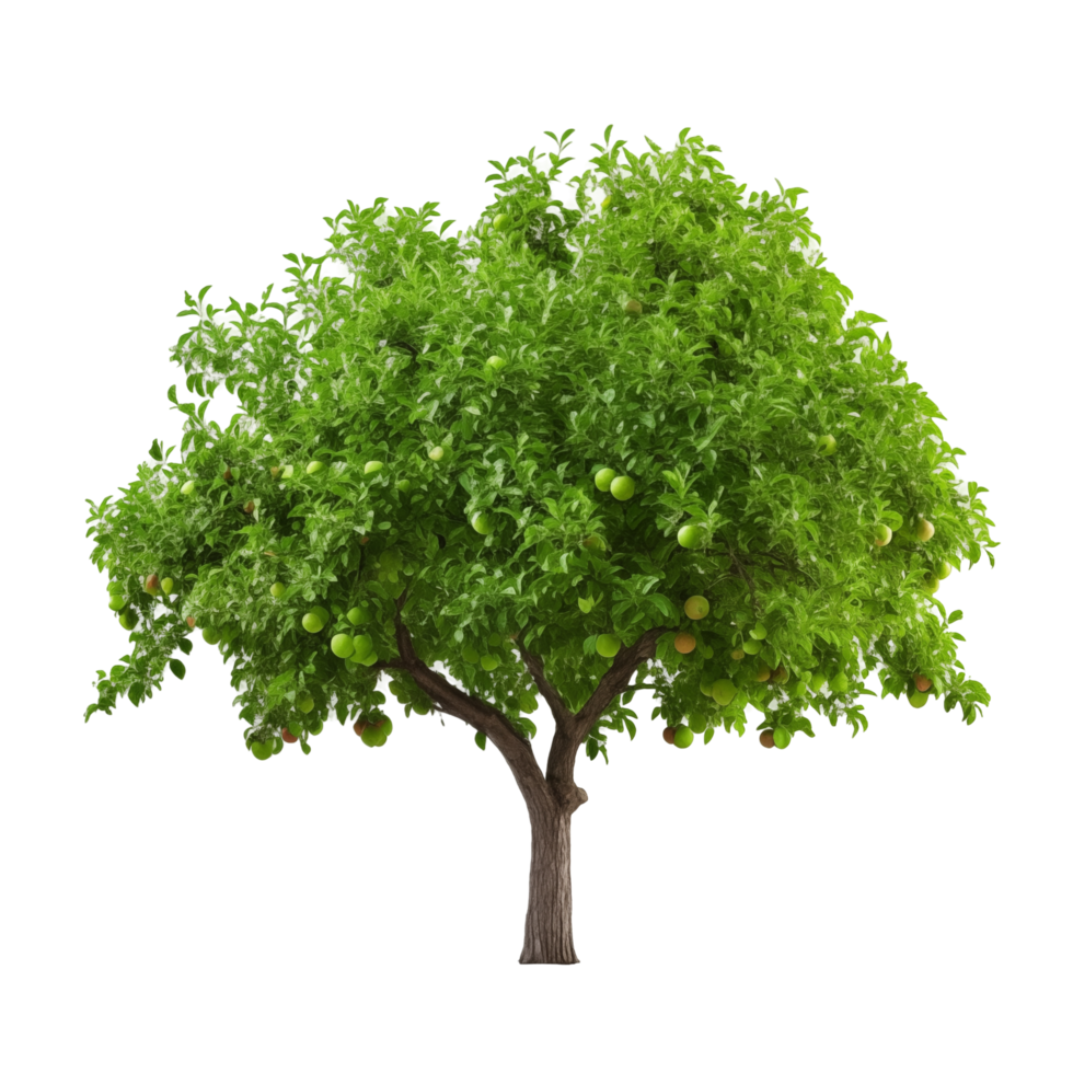 Lush Green Apple Tree With Ripe Fruit Hanging From Branches png