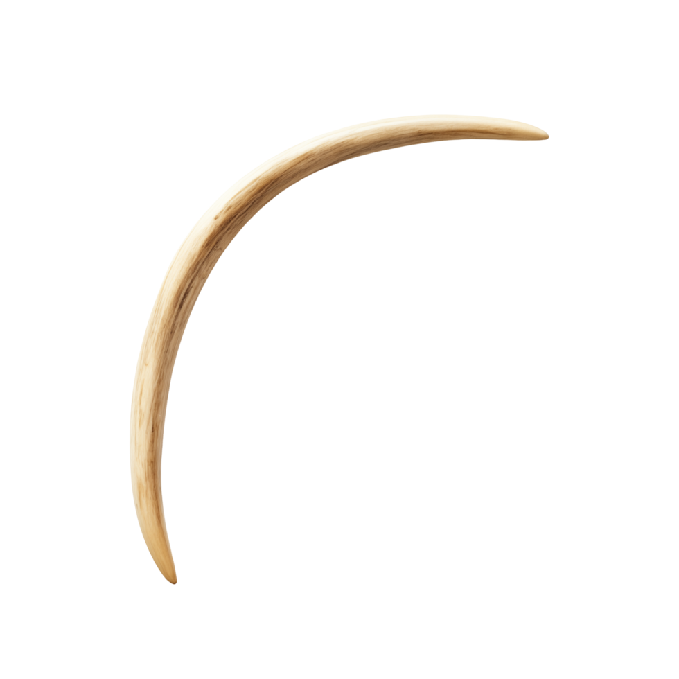 Curved Ivory-Like Horn Isolated On Transparent Background png