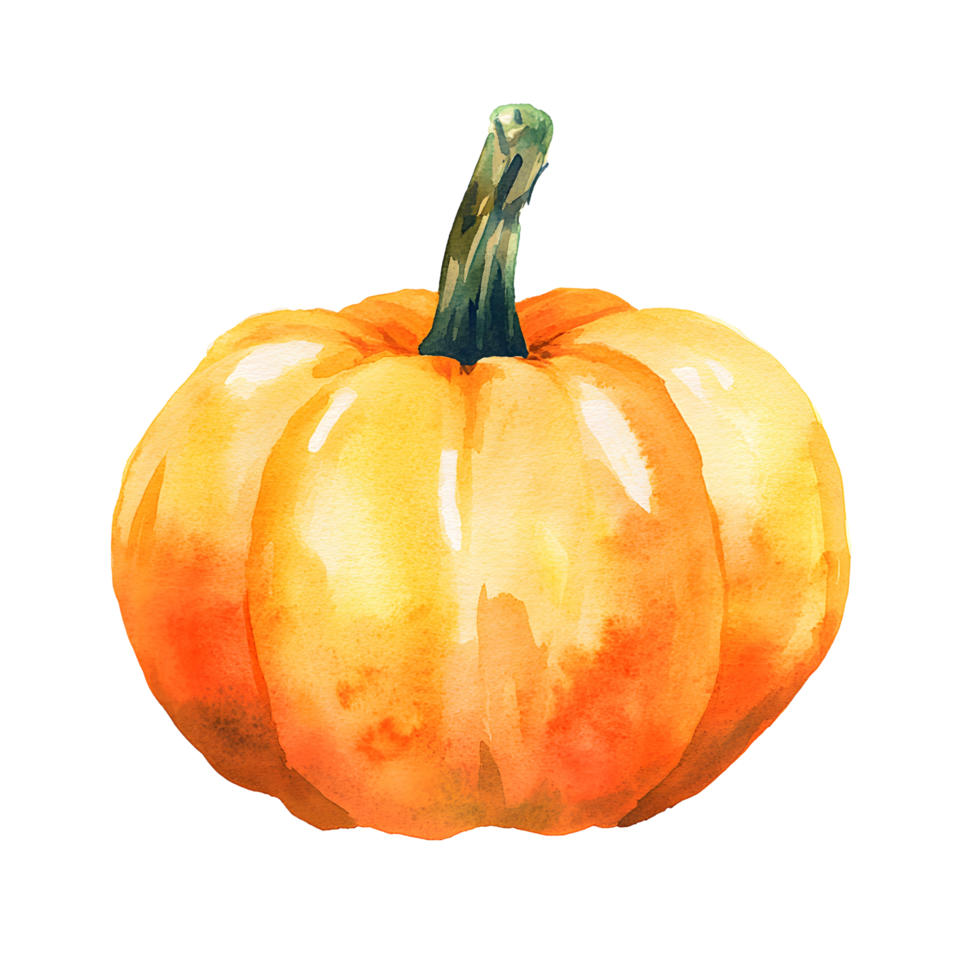 Watercolor pumpkin clip art png