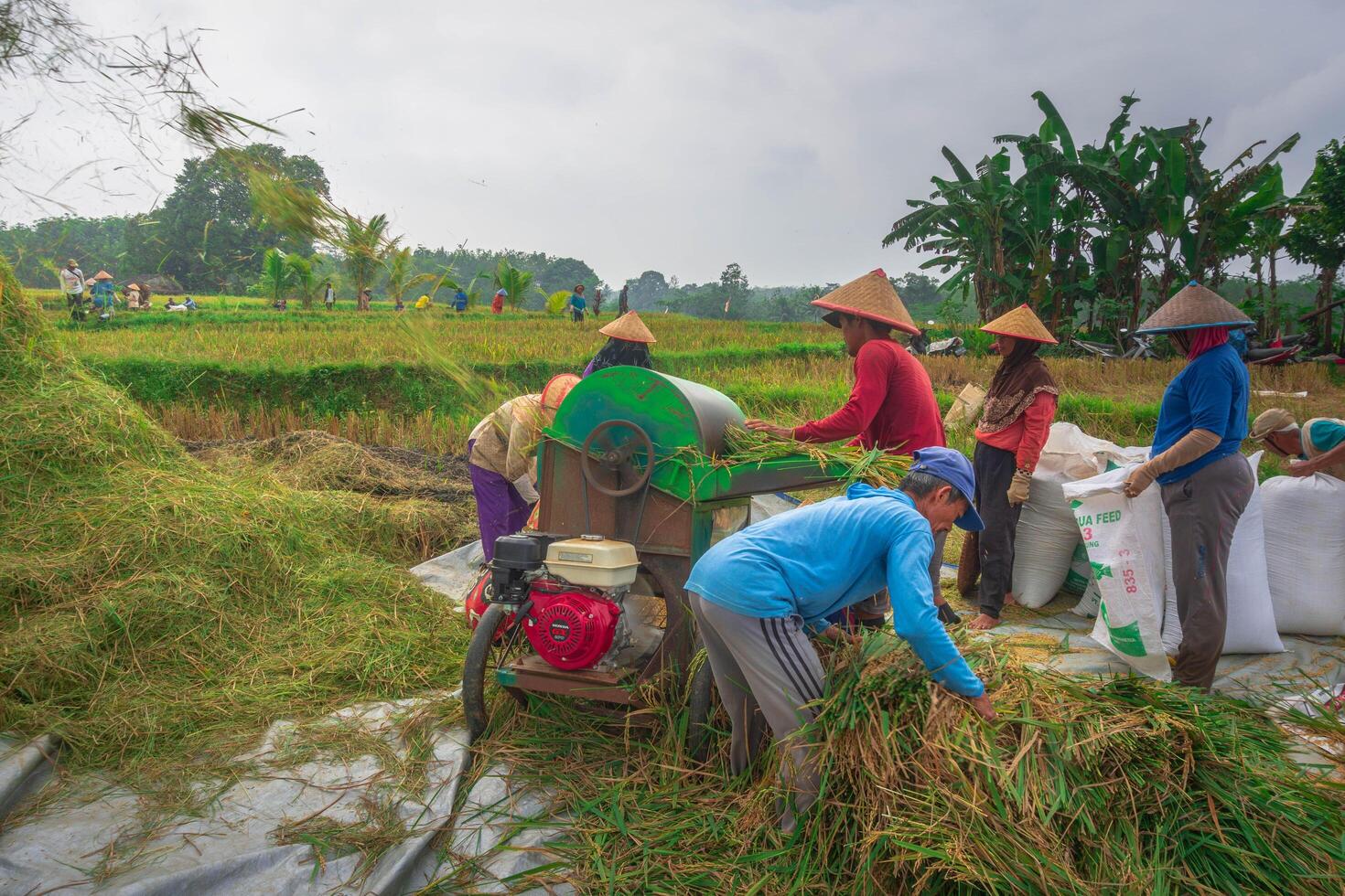 A group of people working in a field photo