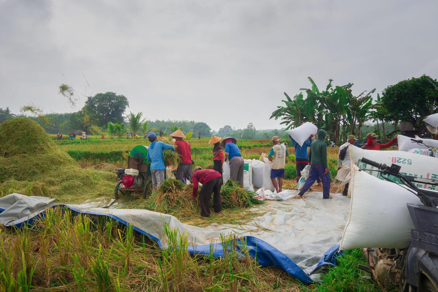 A group of people standing around a large pile of hay photo
