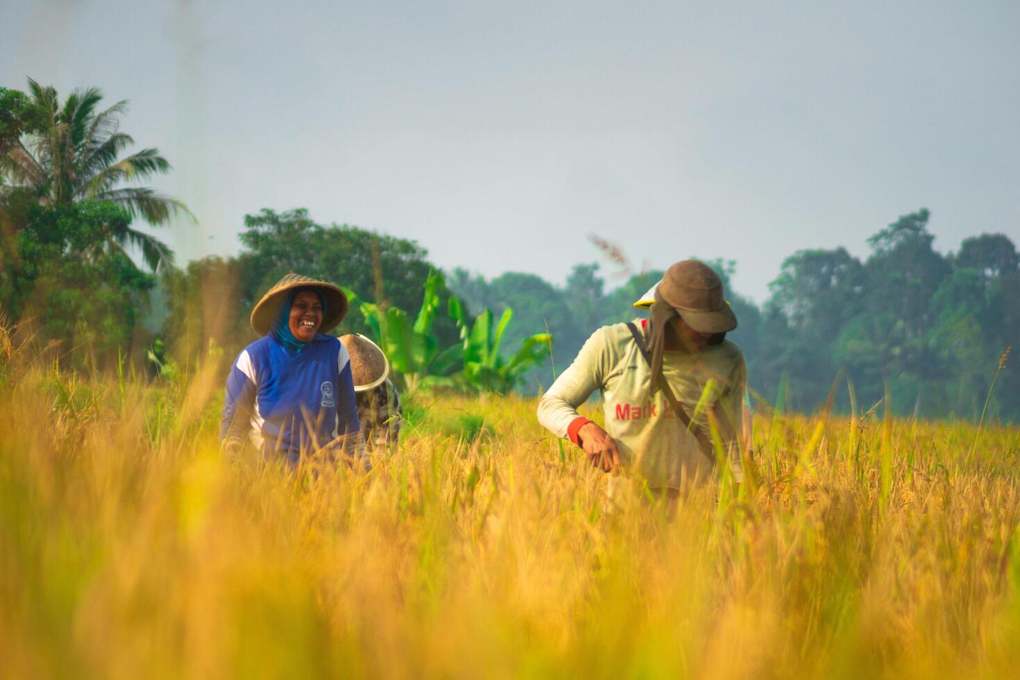 Two women in a field with a hat on photo