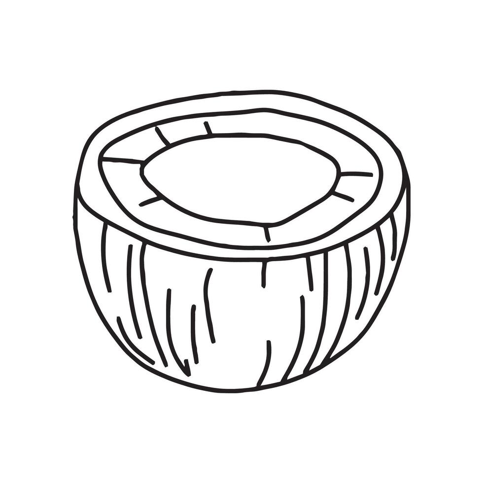 Coconut in doodle style. , on a white background vector