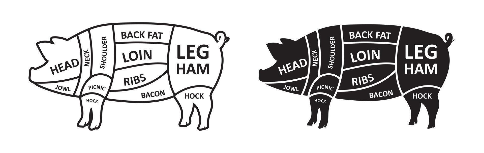 pig cut diagram vector