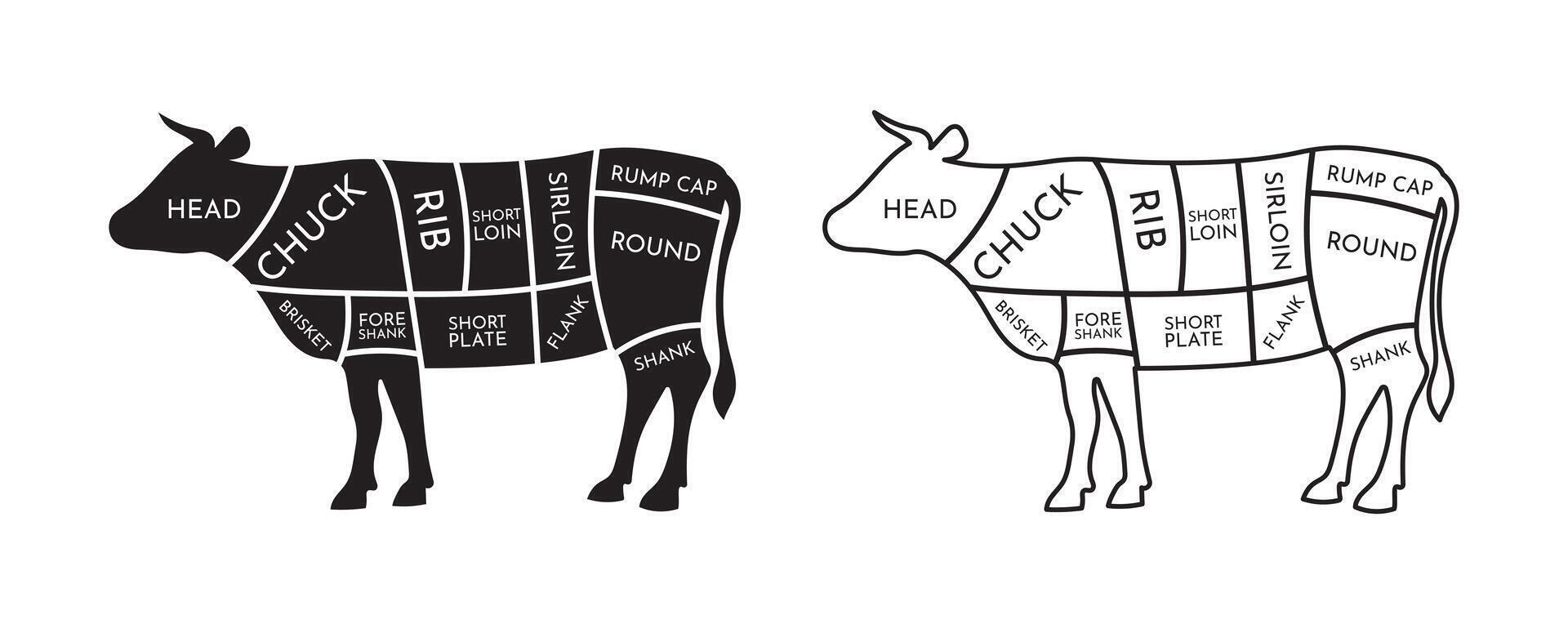 beef cut diagram pictures vector
