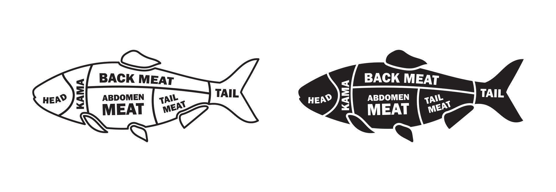 fish cut diagram vector