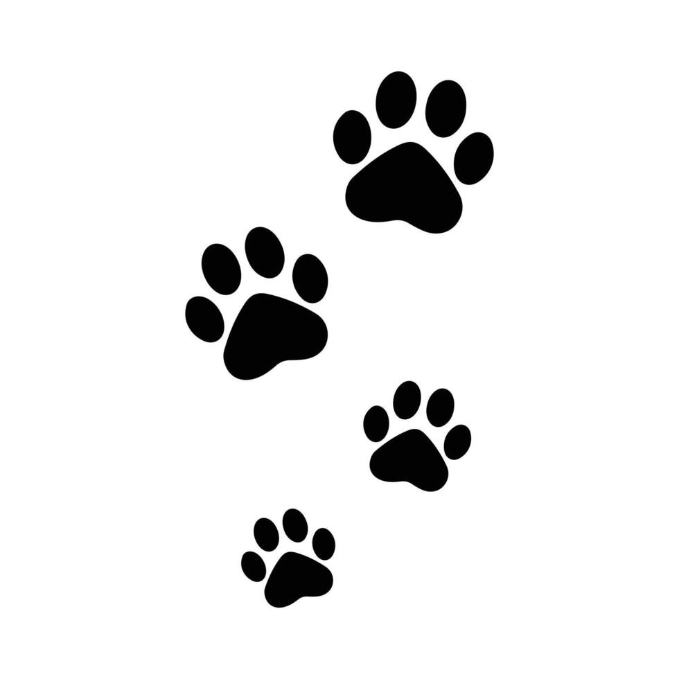 dog footprint drawing vector