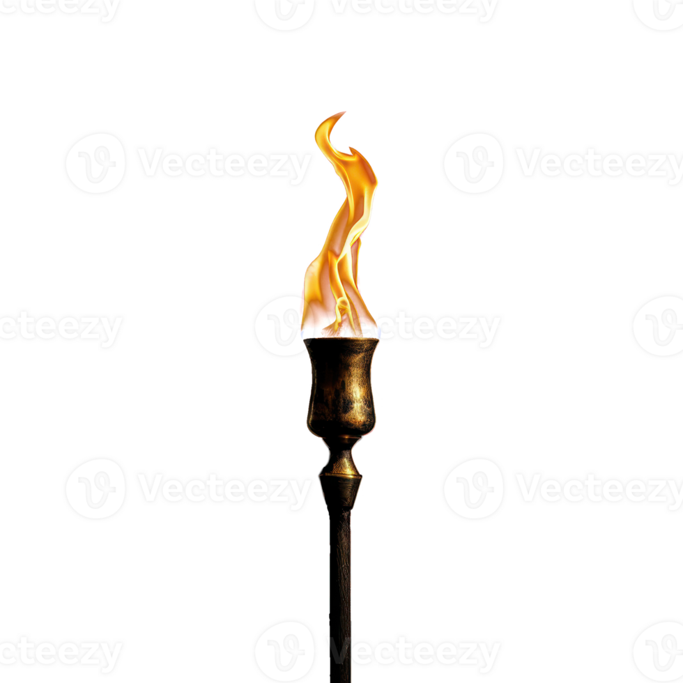 Burning torch on transparency background png