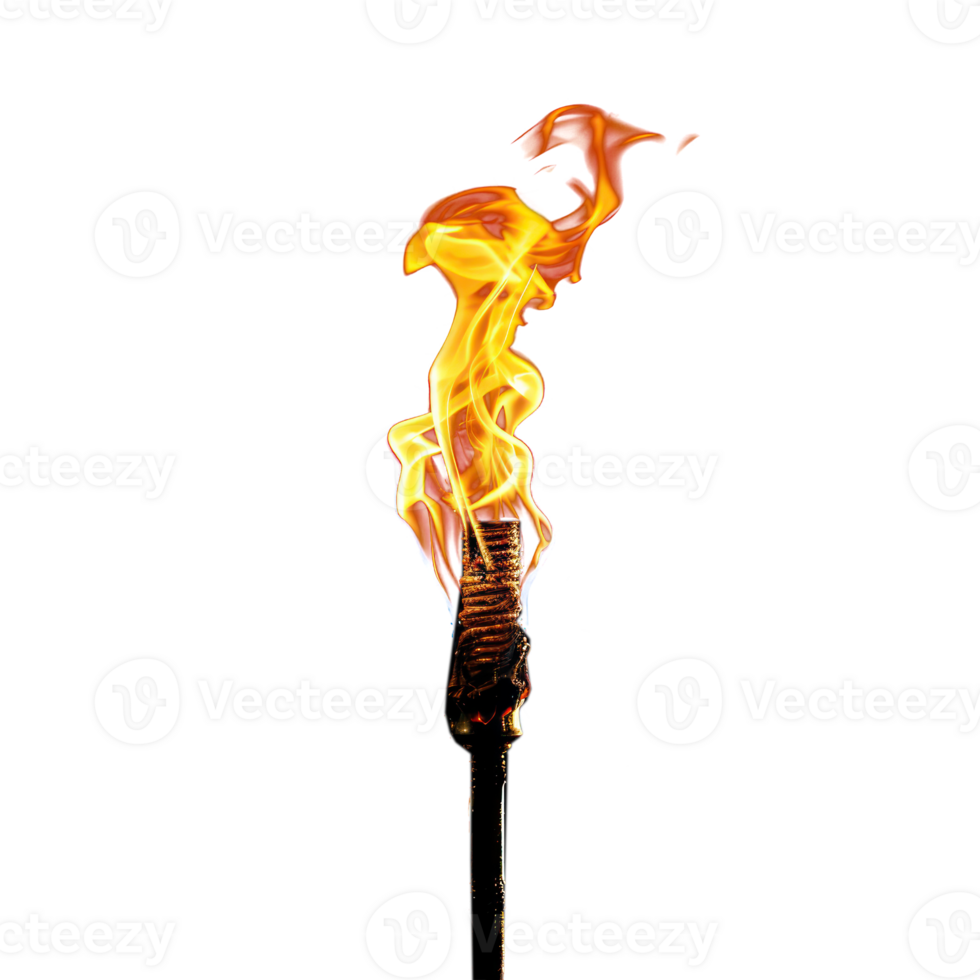 Burning torch on transparency background png