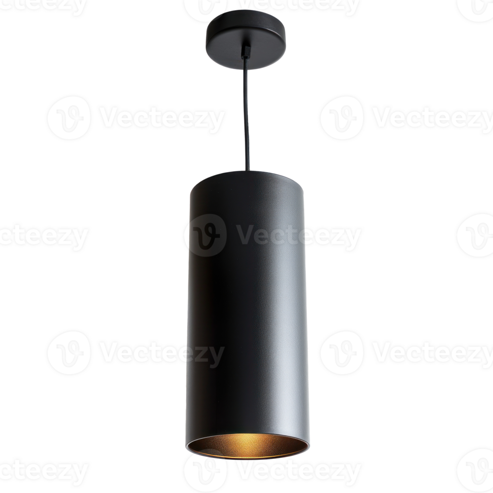 Cylinder Pendant Light front view full length isolate on transparency background png