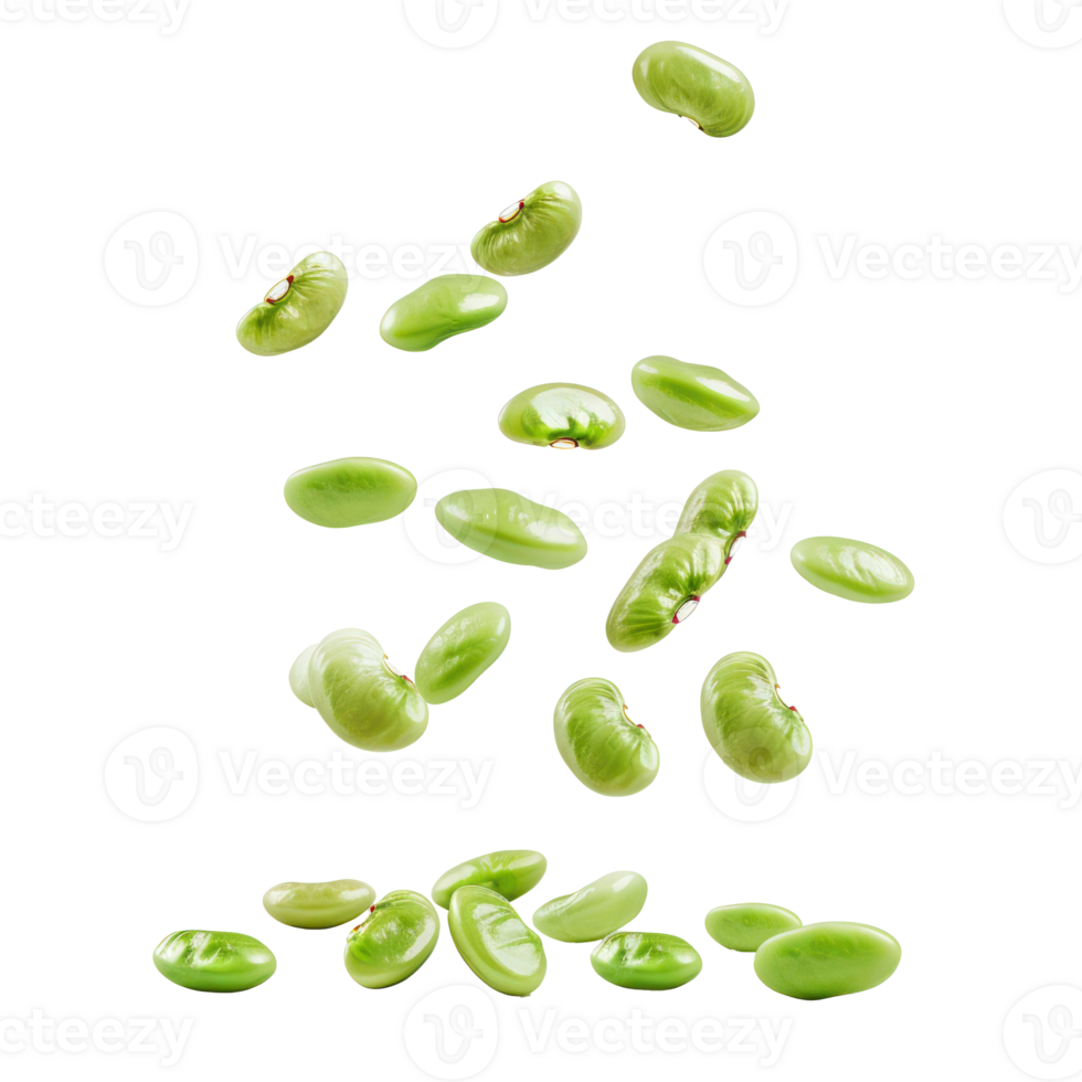 Falling Lima Beans isolate on transparency background png