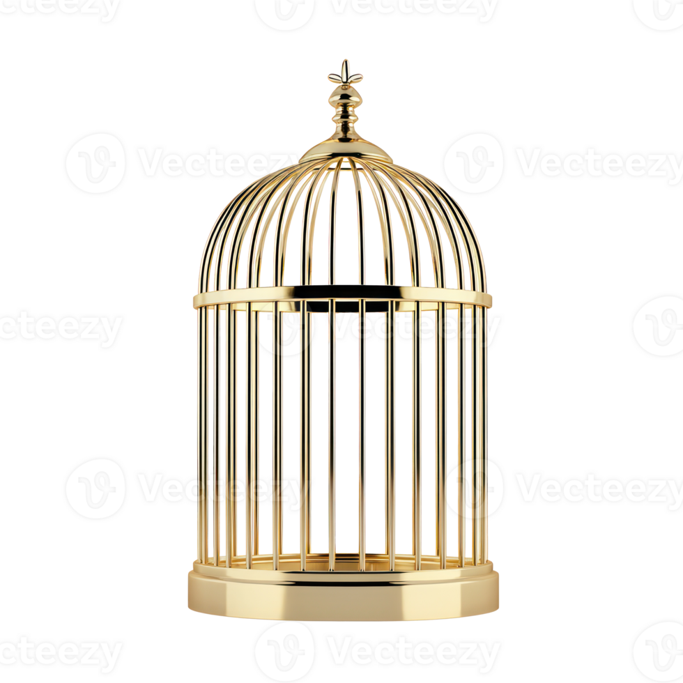 3D Empty gold Birdcage side view isolate on transparency background png