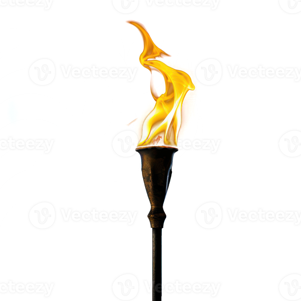 Burning torch on transparency background png