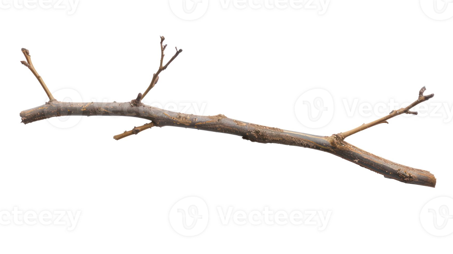 Twig and Stick isolate on transparency background png
