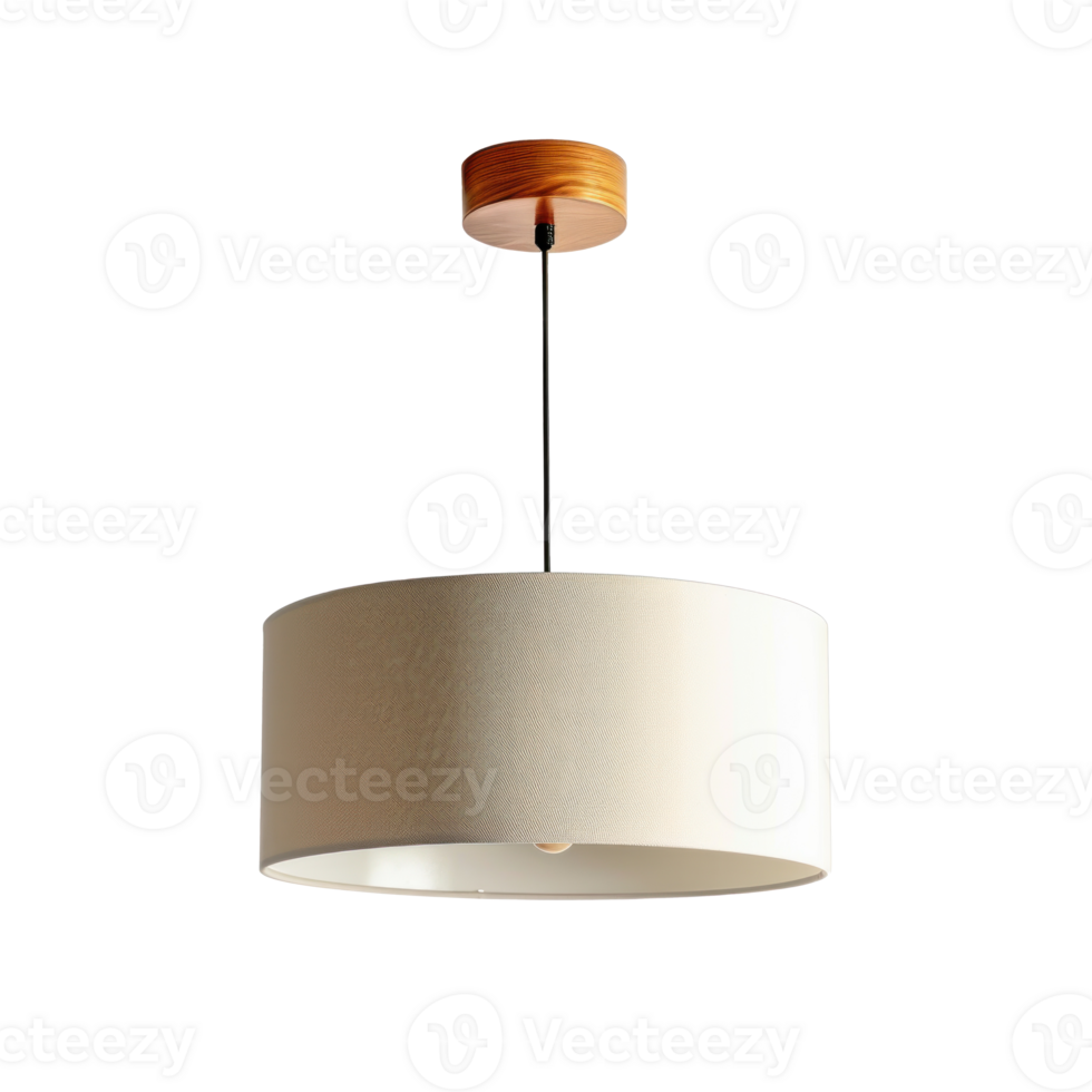 Drum Pendant Light front view full length isolate on transparency background png