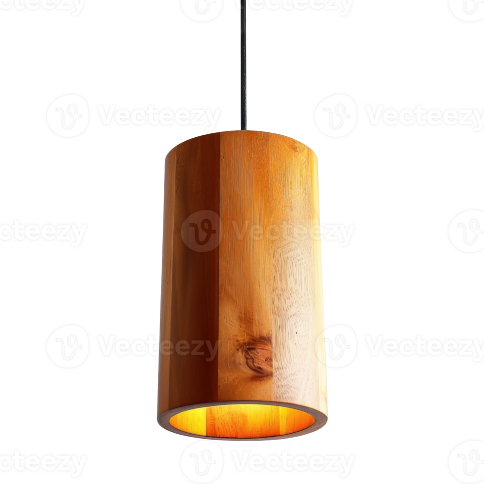 Cylinder Pendant Light front view full length isolate on transparency background png